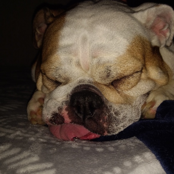 Meet your Posher, Charles - Picture 1 of 1